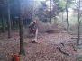 Forestry/Firewood