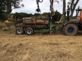 SD Provan Loading Dead Elm Trees onto timber trailer 2