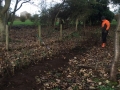SD Provan Hedge Planting 1