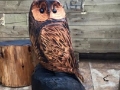 SD Provan Owl 1