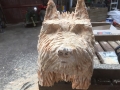 SD Provan Terrier Before Oiling