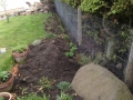 SD Provan - Rabbit proofing a garden