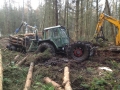 SD Provan - Bogged in Hamilton Wood