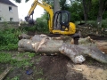 SD Provan - Clearing timber in Elie