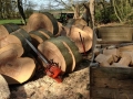 SD Provan - Converting Fallen Beech Tree into Firewood