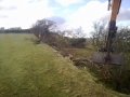 SD Provan - Removing old hedging on N. Baldutho