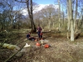 SD Provan - Removing sycamore trees around Kilconquhar Loch