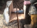 SD Provan - Splitting large stump