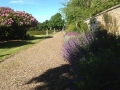 SD Provan - Constructing herbaceous border