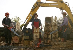 SD Provan Chainsaw Carving